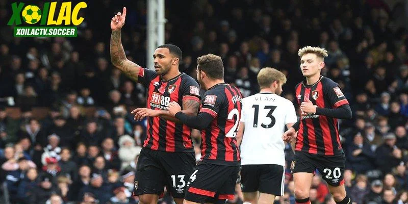 Dự đoán tổng thể Fulham vs AFC Bournemouth